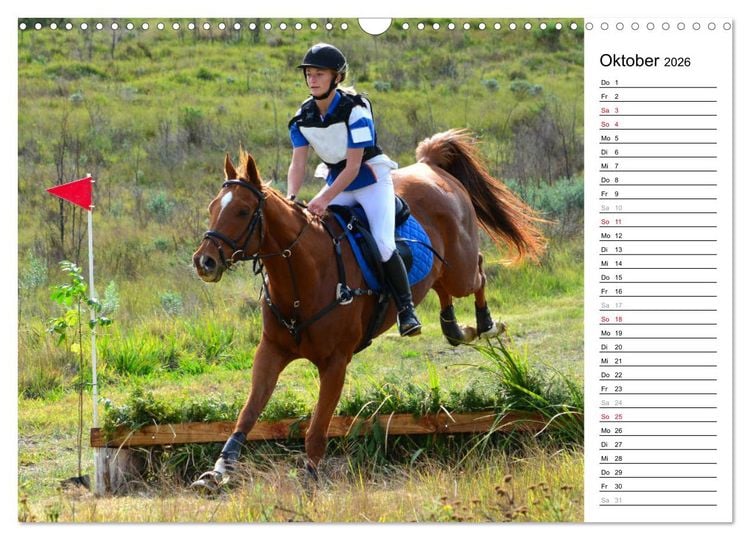 Produktbild: Mein Reitsport Kalender (Wandkalender 2026 DIN A3 quer), CALVENDO Monatskalender