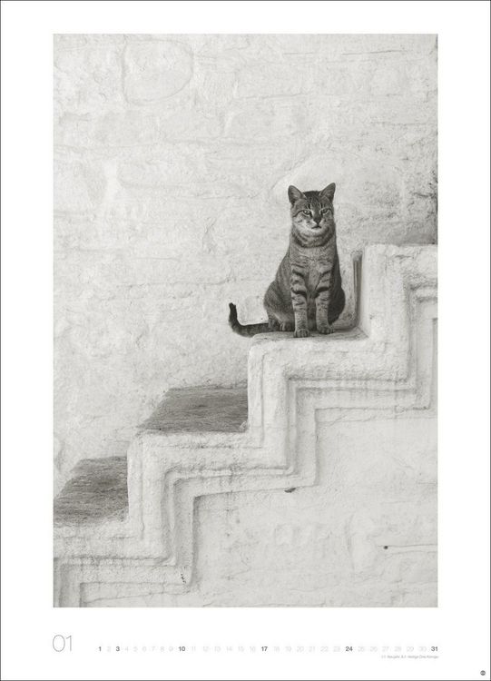 Produktbild: Cats Edition Kalender 2027