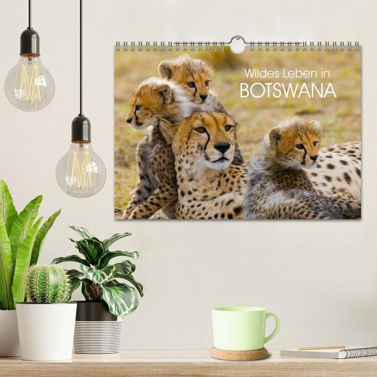 Produktbild: Wildes Leben in Botswana (Wandkalender 2026 DIN A4 quer), CALVENDO Monatskalender