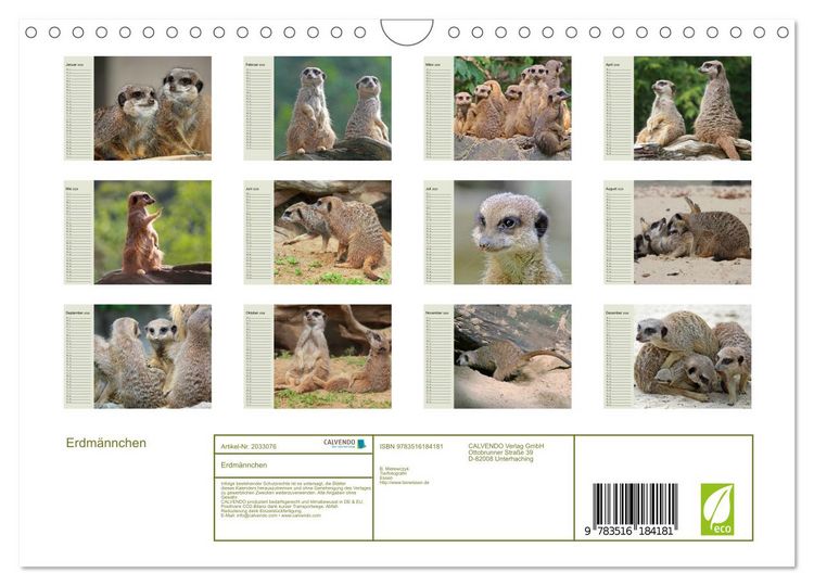 Produktbild: Erdm&auml;nnchen (Wandkalender 2026 DIN A4 quer), CALVENDO Monatskalender
