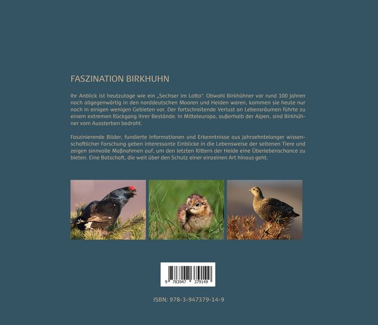 Produktbild: Faszination Birkhuhn