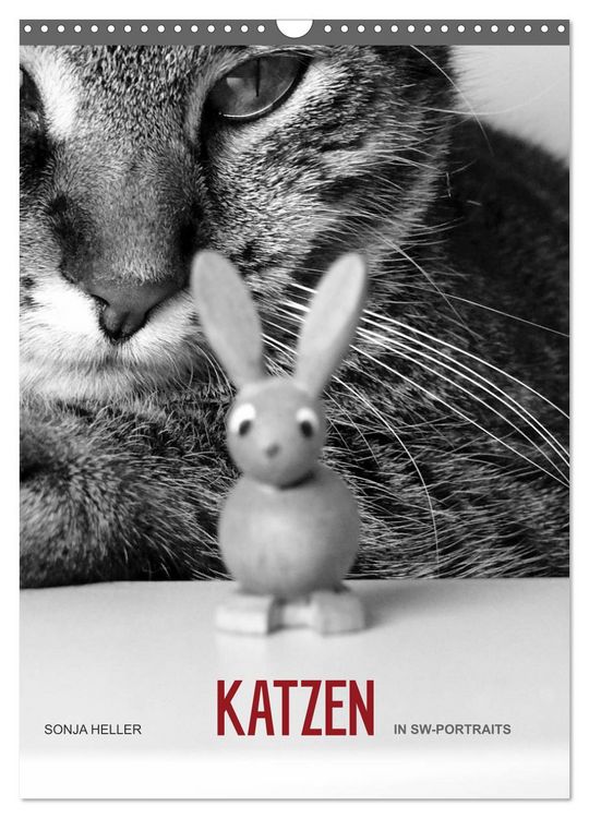 Produktbild: Sonja Heller Katzen in SW-Portraits (Wandkalender 2026 DIN A3 hoch), CALVENDO Monatskalender