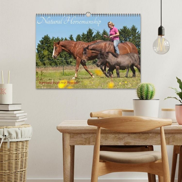 Produktbild: Natural Horsemanship - Partnerschaft mit Pferden (Wandkalender 2026 DIN A3 quer), CALVENDO Monatskalender