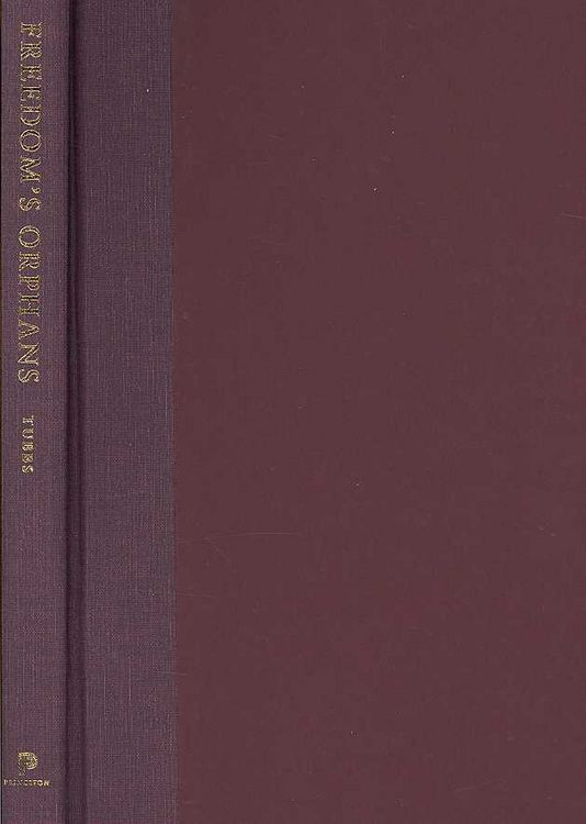 Produktbild: Freedom's Orphans: Contemporary Liberalism & the Fate of Am