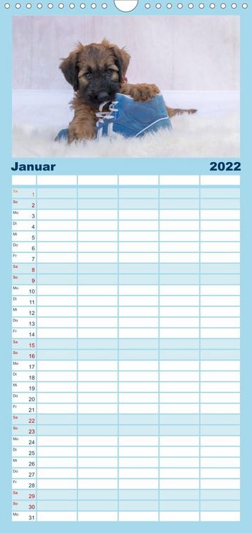 Produktbild: Briardbabys in ihren ersten Wochen - Familienplaner hoch (Wandkalender 2022 , 21 cm x 45 cm, hoch)