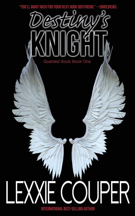 Produktbild: Destiny's Knight