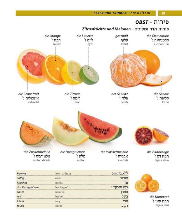 Produktbild: PONS Bildw&ouml;rterbuch Hebr&auml;isch