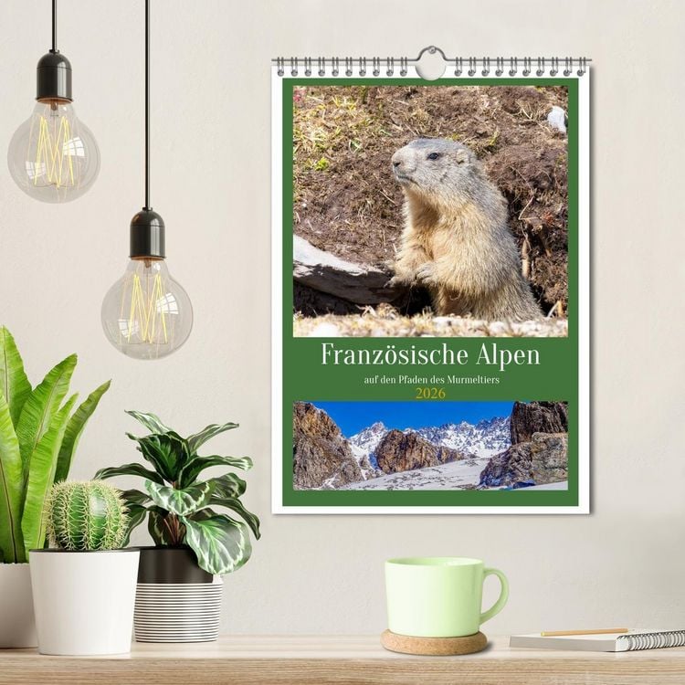 Produktbild: Franz&ouml;sische Alpen, auf den Pfaden des Murmeltiers (Wandkalender 2026 DIN A4 hoch), CALVENDO Monatskalender