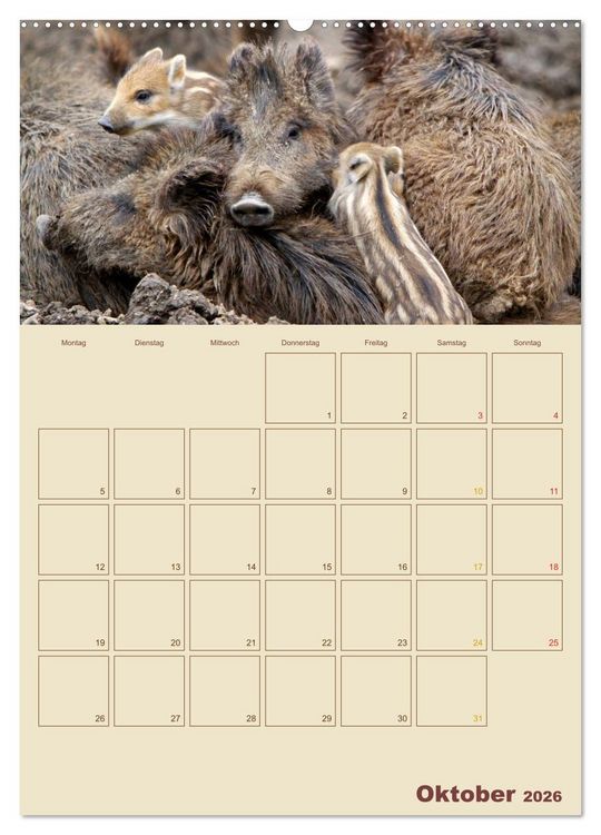 Produktbild: Wildschweine (hochwertiger Premium Wandkalender 2026 DIN A2 hoch), Kunstdruck in Hochglanz