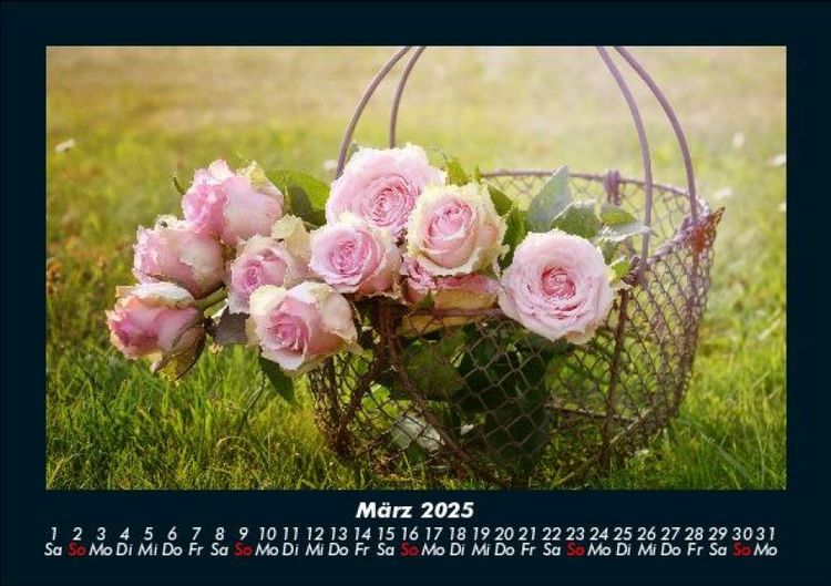Produktbild: Rosen-Kalender 2025 Fotokalender DIN A5