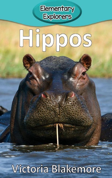 Produktbild: Hippos
