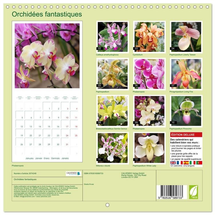 Produktbild: Orchid&eacute;es fantastiques (Calendrier mural carr&eacute; 2026 30x30 cm) Calendrier double avec une page pour vos prises de notes