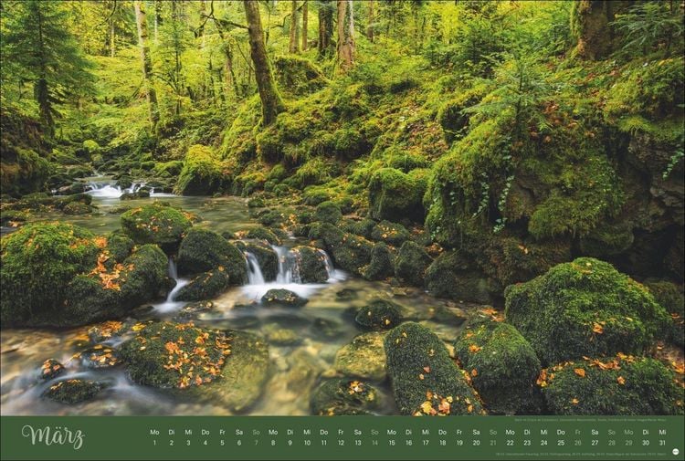 Produktbild: Zauberw&auml;lder Edition Kalender 2027