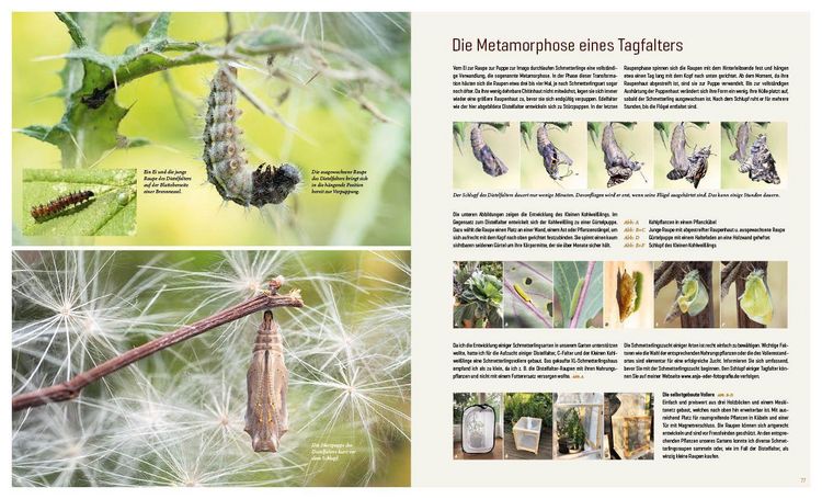 Produktbild: Mein Artenretter Garten