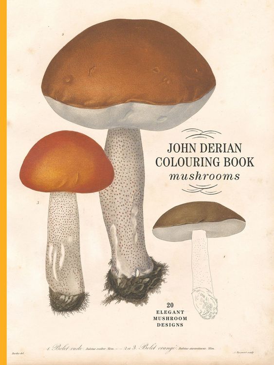 Produktbild: John Derian Colouring Book: Mushrooms