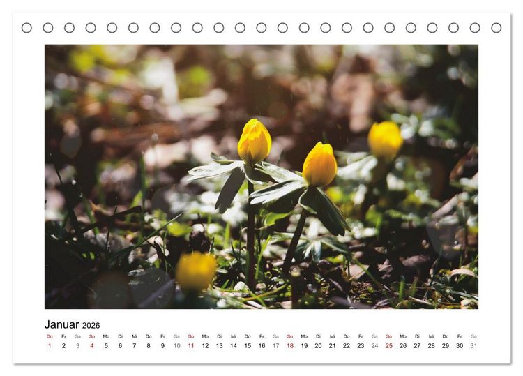 Produktbild: Mein Sehnsuchtsort, der Garten (Tischkalender 2026 DIN A5 quer), CALVENDO Monatskalender