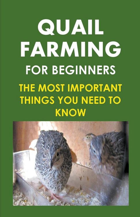 Produktbild: Quail Farming For Beginners