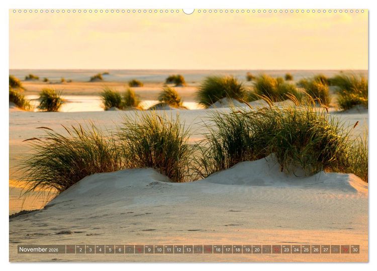 Produktbild: Amrum Insel am Wattenmeer (Wandkalender 2026 DIN A2 quer), CALVENDO Monatskalender