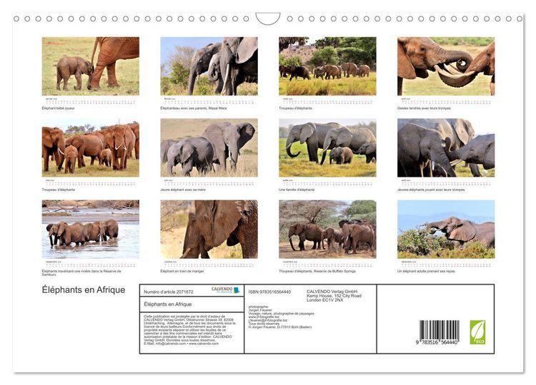 Produktbild: &Eacute;l&eacute;phants en Afrique (Calendrier mural 2026 DIN A3 vertical), CALVENDO calendrier mensuel