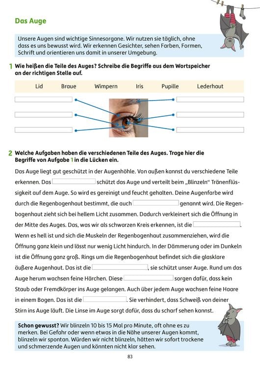 Produktbild: Erfolgreich durch die 3. Klasse &ndash; Mathe, Deutsch, Sachunterricht