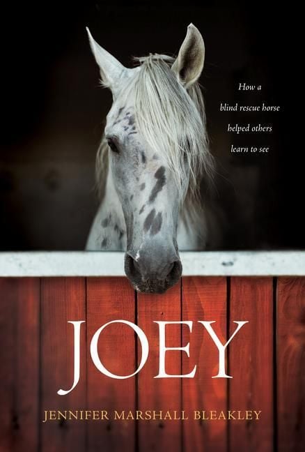 Produktbild: Joey