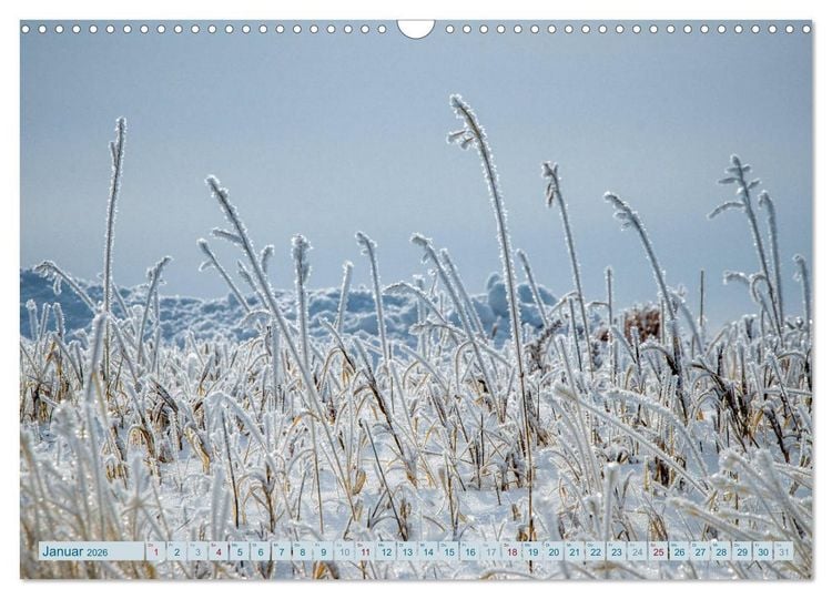Produktbild: Wildwuchs 2026 (Wandkalender 2026 DIN A3 quer), CALVENDO Monatskalender