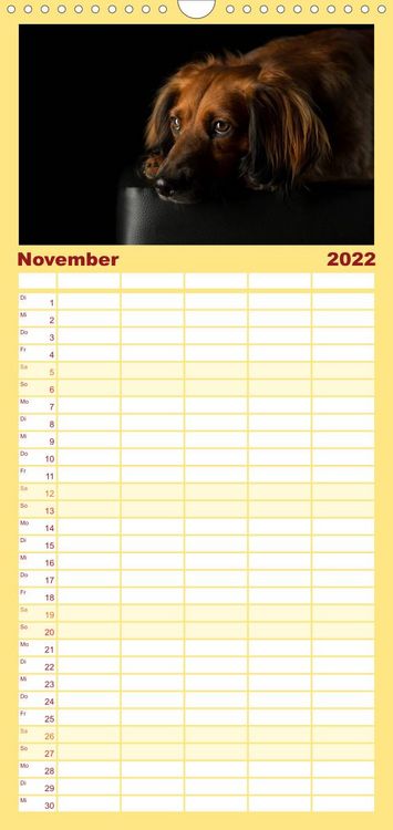 Produktbild: Familienplaner Bunte Pfoten (Wandkalender 2022 , 21 cm x 45 cm, hoch)