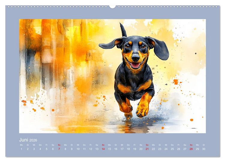 Produktbild: Dackelzauber. Charmante Begleiter im lieblichen Aquarell-Stil (Wandkalender 2026 DIN A2 quer), CALVENDO Monatskalender