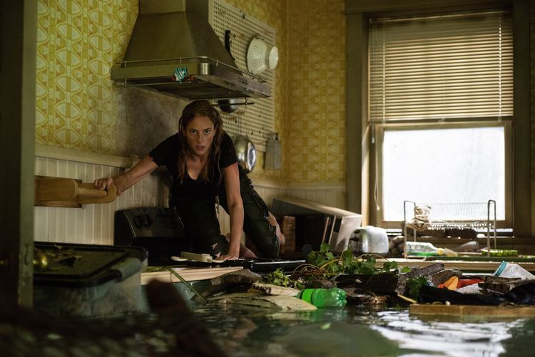 Produktbild: Crawl