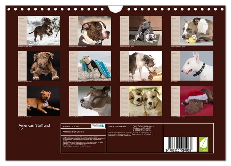 Produktbild: American Staff und Co. (Wandkalender 2026 DIN A4 quer), CALVENDO Monatskalender