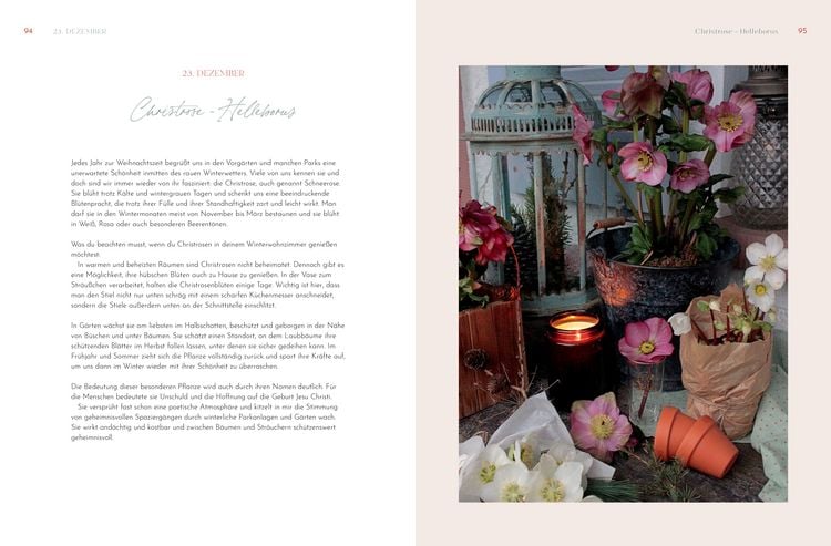 Produktbild: Weihnachtliche Blumenpoesie