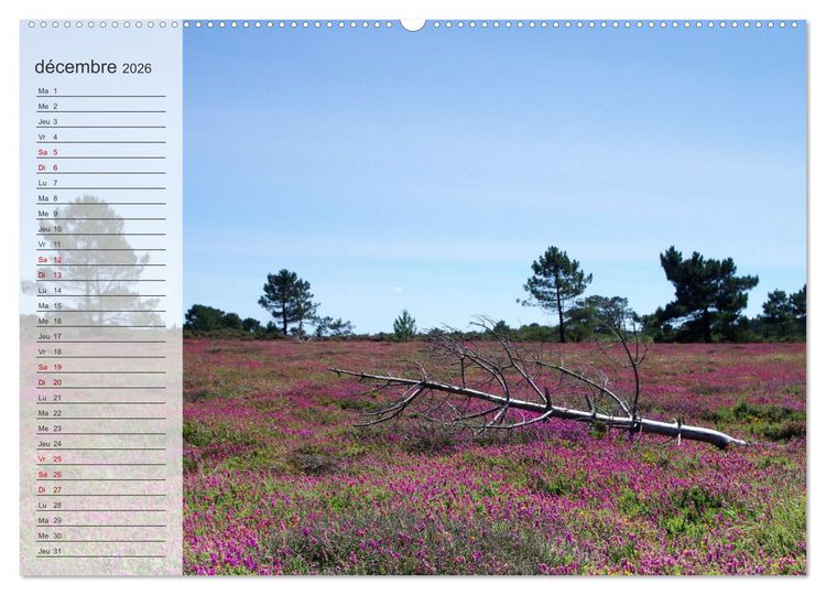 Produktbild: Bretagne La presqu'&icirc;le de Crozon (Calendrier mural 2026 DIN A2 vertical) calendrier de bureau