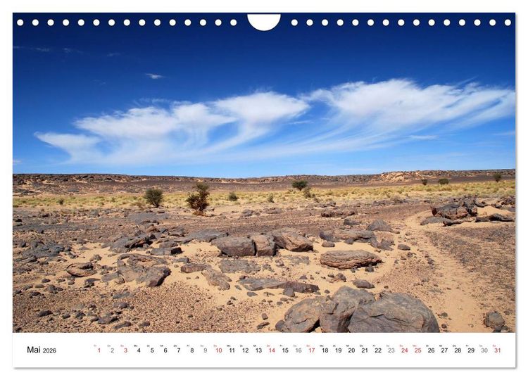 Produktbild: Sch&ouml;ne W&uuml;ste (Wandkalender 2026 DIN A4 quer), CALVENDO Monatskalender