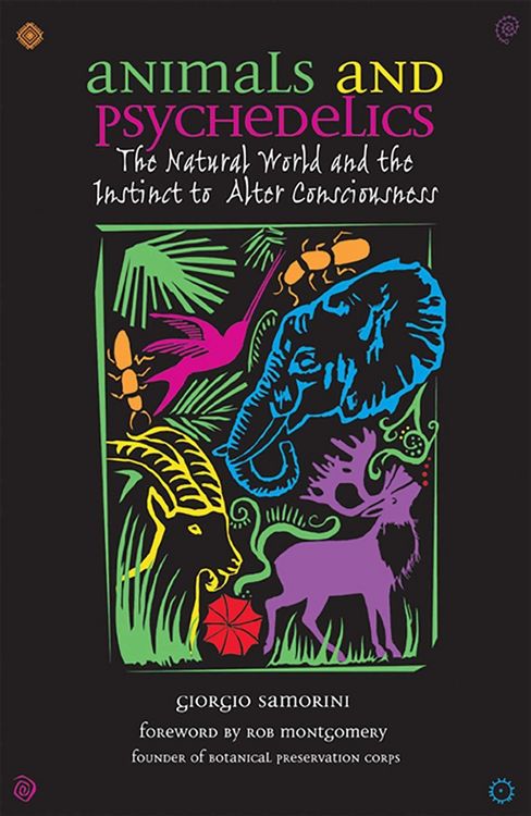 Produktbild: Animals and Psychedelics