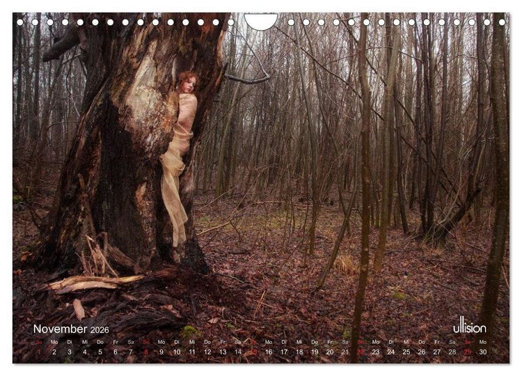Produktbild: ZAUBERWALD Mystik der Natur (Wandkalender 2026 DIN A4 quer), CALVENDO Monatskalender