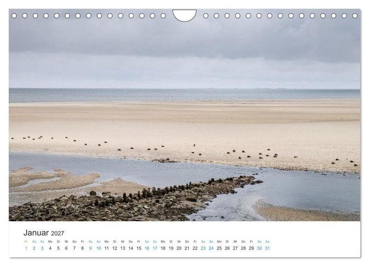 Produktbild: Amrum: Natur und Freiheit (Wandkalender 2027 DIN A4 quer), CALVENDO Monatskalender