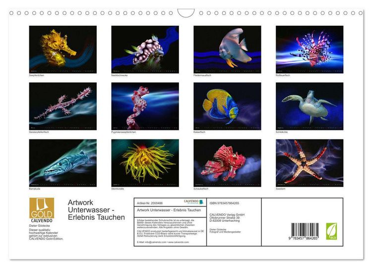 Produktbild: Artwork Unterwasser - Erlebnis Tauchen (Wandkalender 2026 DIN A3 quer), CALVENDO Monatskalender