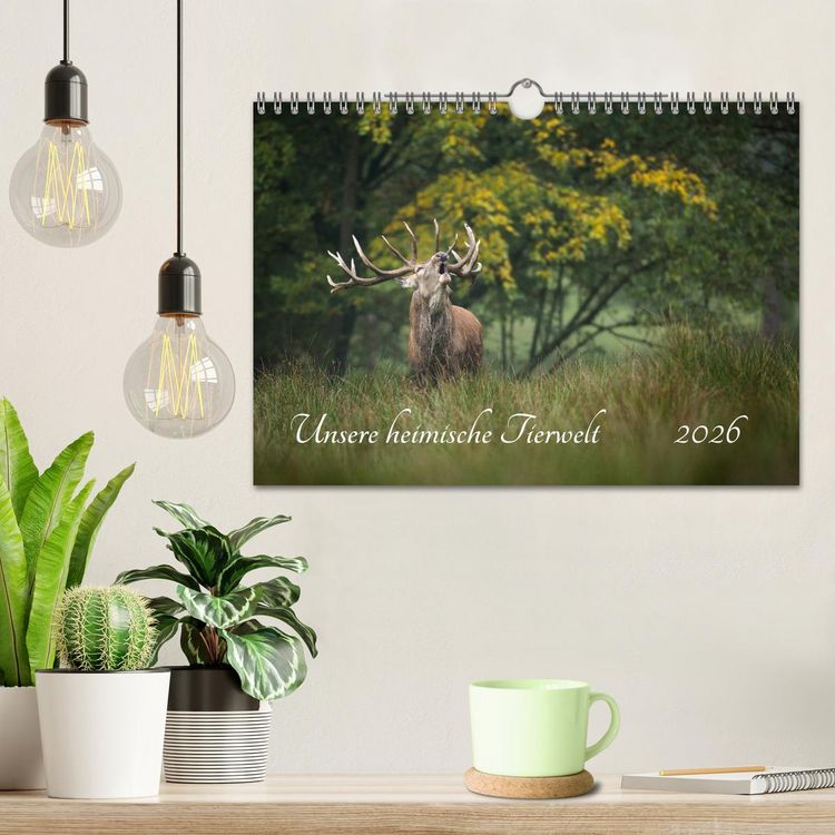 Produktbild: Unsere heimische Tierwelt (Wandkalender 2026 DIN A4 quer), CALVENDO Monatskalender