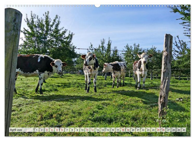 Produktbild: Normandie erleben (hochwertiger Premium Wandkalender 2026 DIN A2 quer), Kunstdruck in Hochglanz