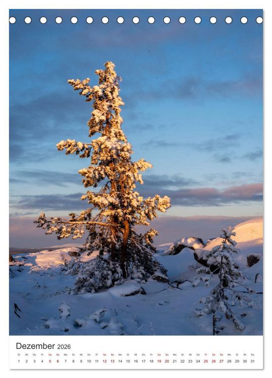 Produktbild: Winter in Lappland - Bezaubernde Sch&ouml;nheit (Tischkalender 2026 DIN A5 hoch), CALVENDO Monatskalender
