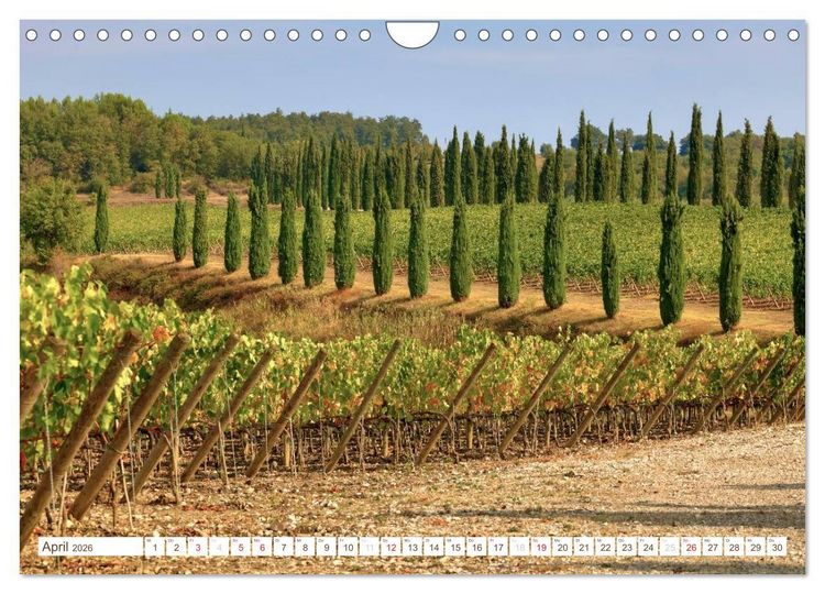 Produktbild: Toskana - Goldene Farben des toskanischen Herbstes (Wandkalender 2026 DIN A4 quer), CALVENDO Monatskalender