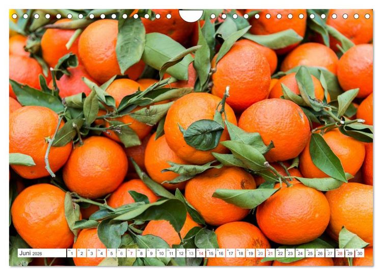 Produktbild: Emotionale Momente: Orangen & Zitronen. (Wandkalender 2026 DIN A4 quer), CALVENDO Monatskalender