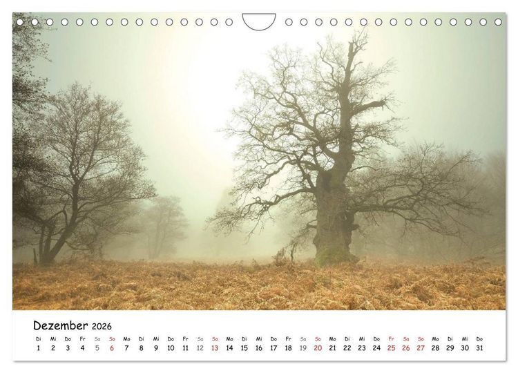 Produktbild: Morgendliche Stimmungen in Nordhessen (Wandkalender 2026 DIN A4 quer), CALVENDO Monatskalender