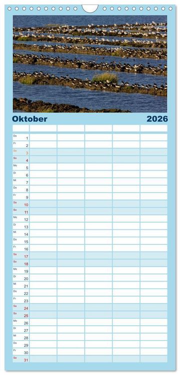 Produktbild: Familienplaner 2026 - Gr&uuml;&szlig;e von Pellworm mit 5 Spalten (Wandkalender, 21 x 45 cm) CALVENDO