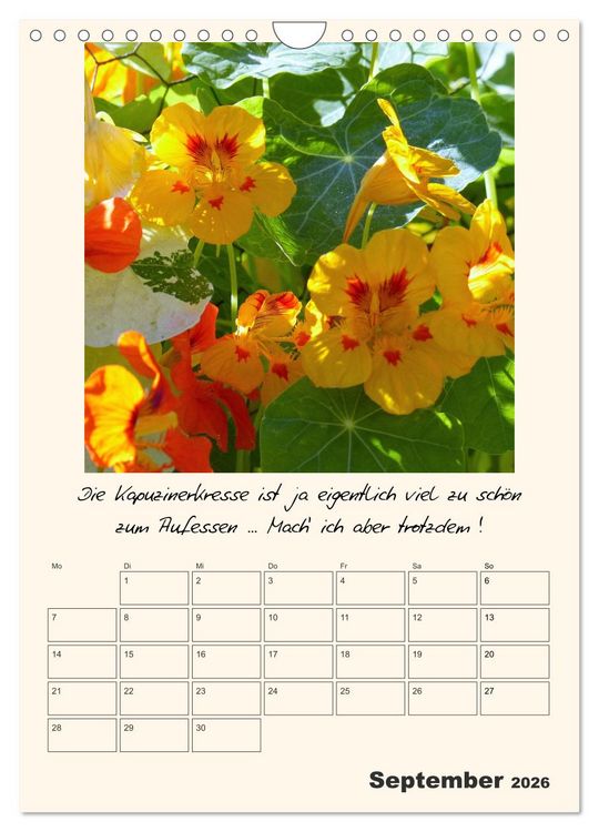 Produktbild: Gartengeschichten (Wandkalender 2026 DIN A4 hoch), CALVENDO Monatskalender