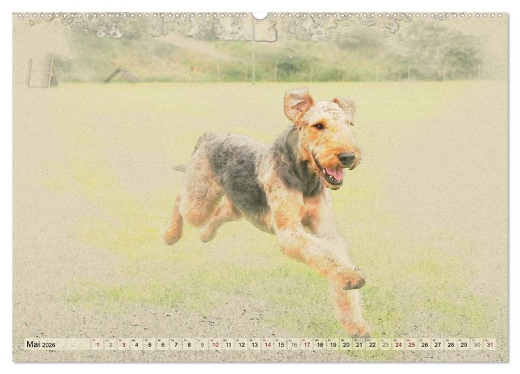 Produktbild: Airedale Terrier 2026 (hochwertiger Premium Wandkalender 2026 DIN A2 quer), Kunstdruck in Hochglanz