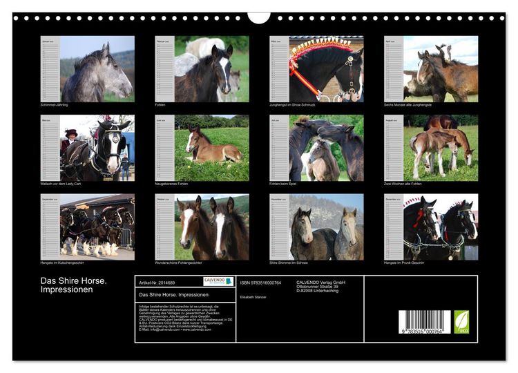 Produktbild: Das Shire Horse. Impressionen (Wandkalender 2026 DIN A3 quer), CALVENDO Monatskalender