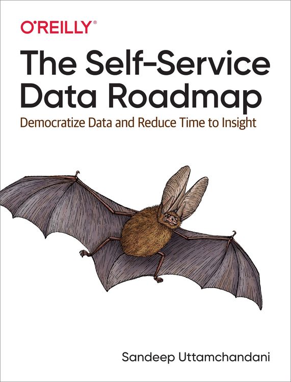 Produktbild: Self-Service Data Roadmap