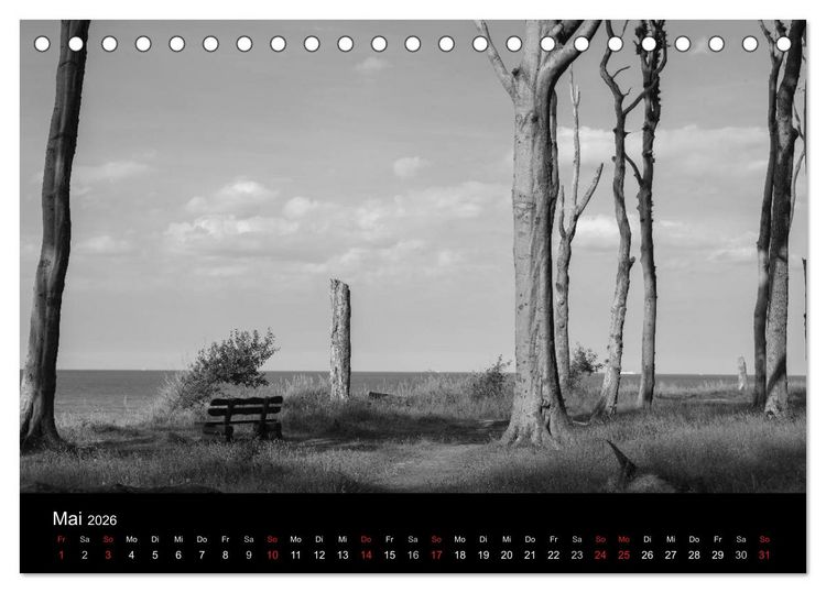 Produktbild: B&auml;ume trees 2026 (Tischkalender 2026 DIN A5 quer), CALVENDO Monatskalender