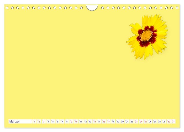 Produktbild: DIY POESIE - BASTELKALENDER (Wandkalender 2026 DIN A4 quer), CALVENDO Monatskalender
